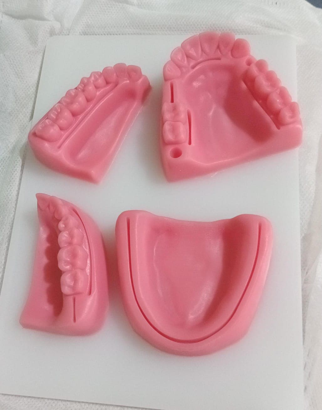 Dental Silikon Pad Model Mulut